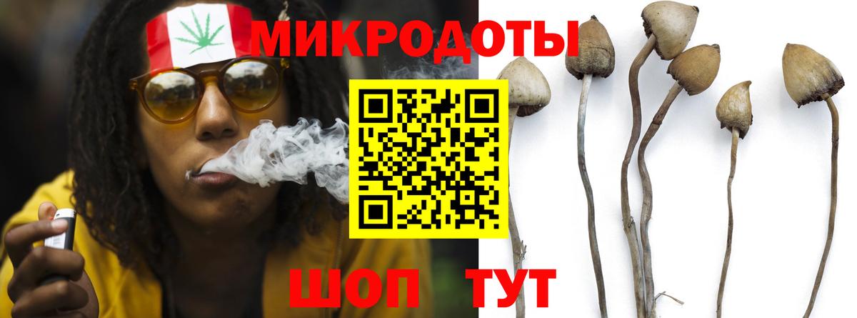 Коряжма  Псилоцибиновые грибы прущие грибы  Псилоцибиновые грибы Psilocybine cubensis  Вход с VPN 